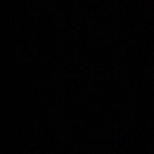 Meet your Posher, Owen